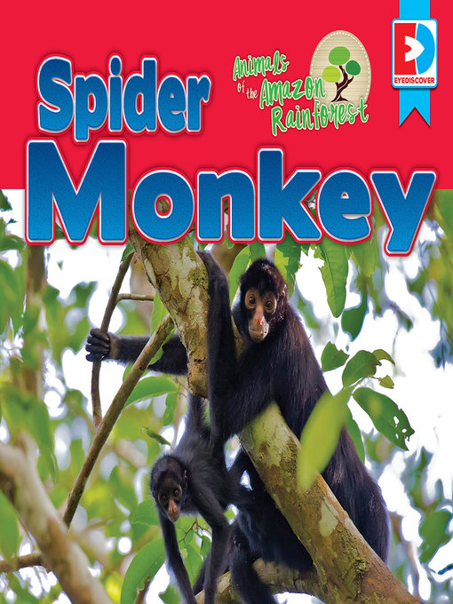 Title details for Animals of the Amazon Rainforest: Spider Monkey by Katie Gillespie - Wait list